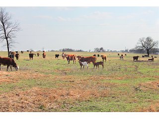 Tract 11 - LAND & MINERAL ACRES OKLAHOMA AUCTION, 588+/- Land & Producing Mineral Acres offered in 24 Tracts in Okmulgee County